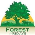 Forest Fridays: PEMA and DCNR Incident Administration Crew Reply to Flooding in Tioga County – Go Well being Professional