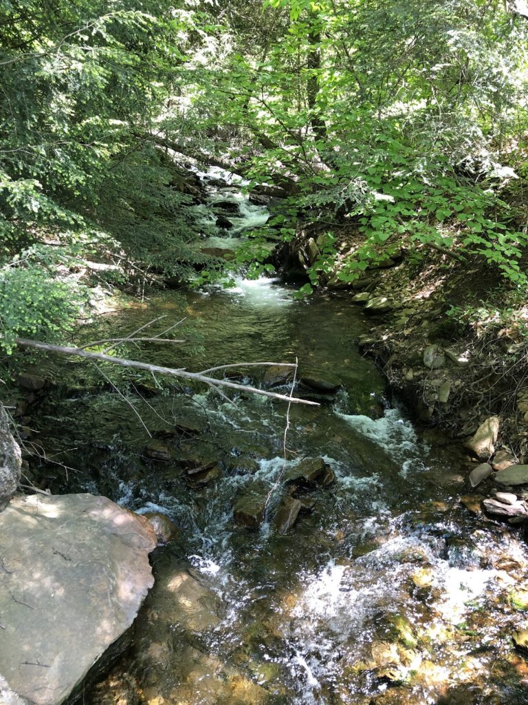 Northcentral Pennsylvania Conservancy Purchases Blossburg Property