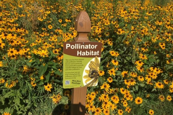 Pollinator Habitat