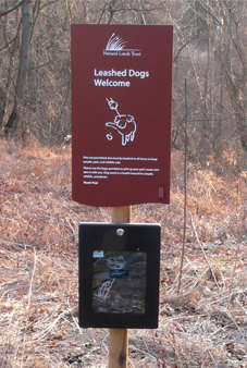 Leashed Dogs