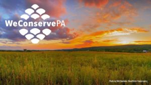 WeConservePA default site image Fall 2022 Deb Nardone ClearWater Conservancy