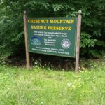 Chestnut Mountain
