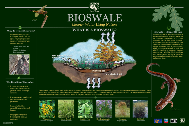 Bioswale