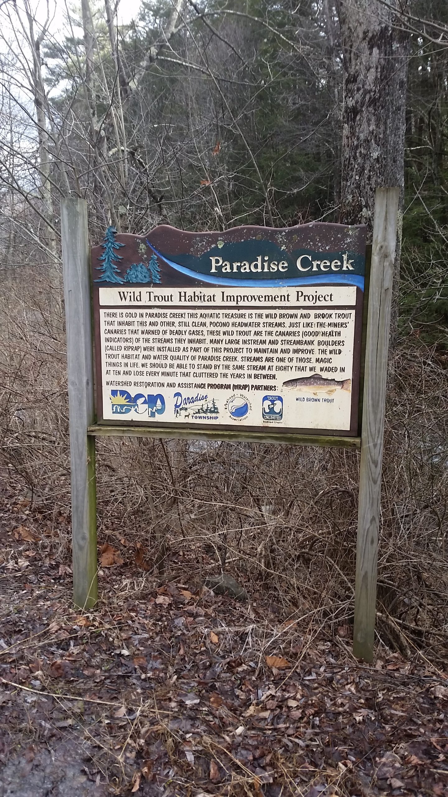 Paradise Creek