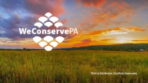 WeConservePA default site image fall 2022 Deb Nardone ClearWater Conservancy v3