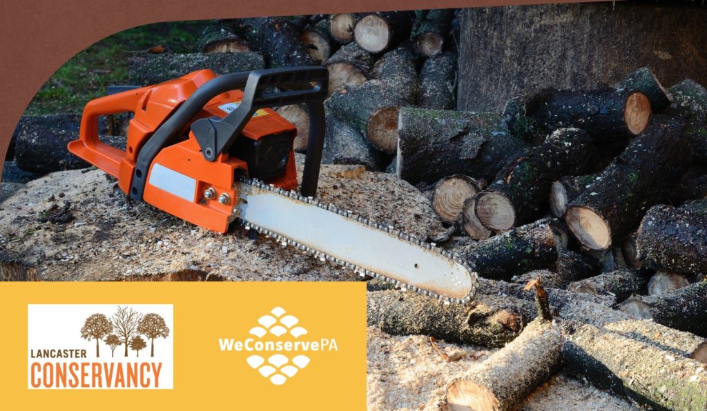 Chainsaw Safety Course *SOLD OUT* WeConservePA