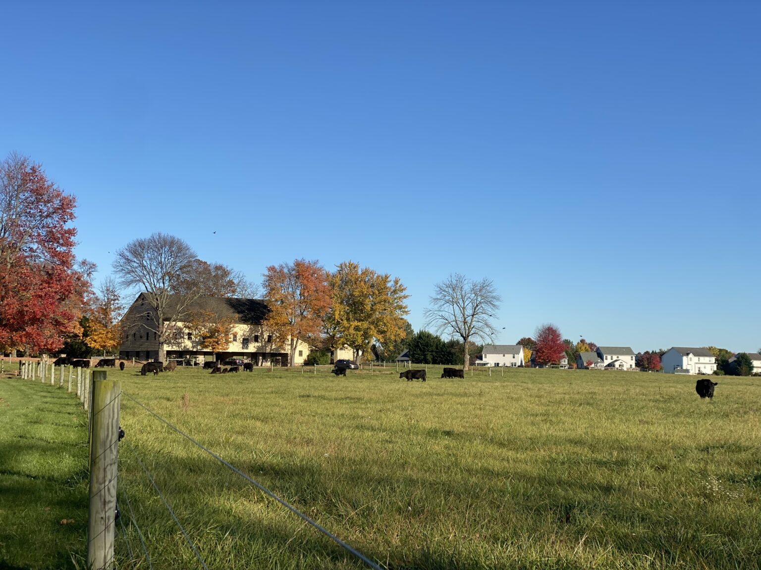 Land Conservancy of Adams County Preserves Nearly 50 Acres in Conewago