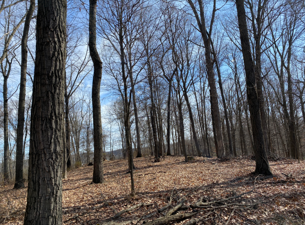 Heritage Conservancy Adds Two Conserved Properties with CoHolders in