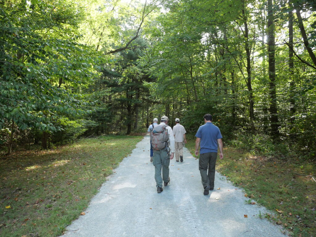 four individuals walking down a relatively wide, smooth, and flat trail through the woods.