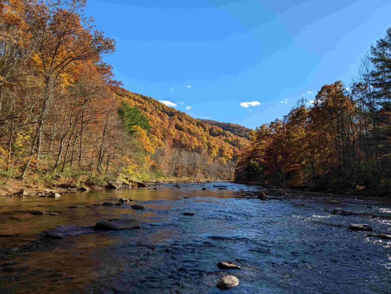 Western Pennsylvania Conservancy Protects 1,495 Acres of Elk County Forestland in the PA Wilds for Moshannon State Forest – Technologist