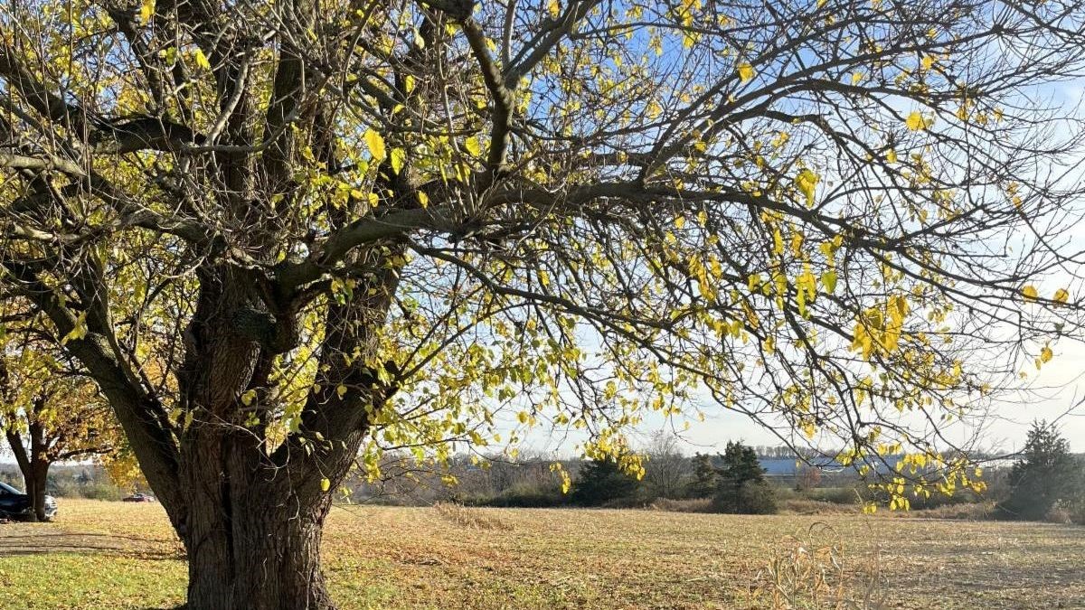 The Lebanon Valley Conservancy safeguards agricultural land in Union Township – Go Health Pro