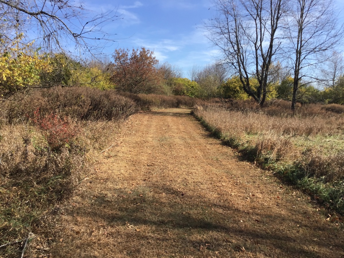 Heritage Conservancy preserves 24 acres of diverse wildlife habitat in Northampton County – Go Health Pro