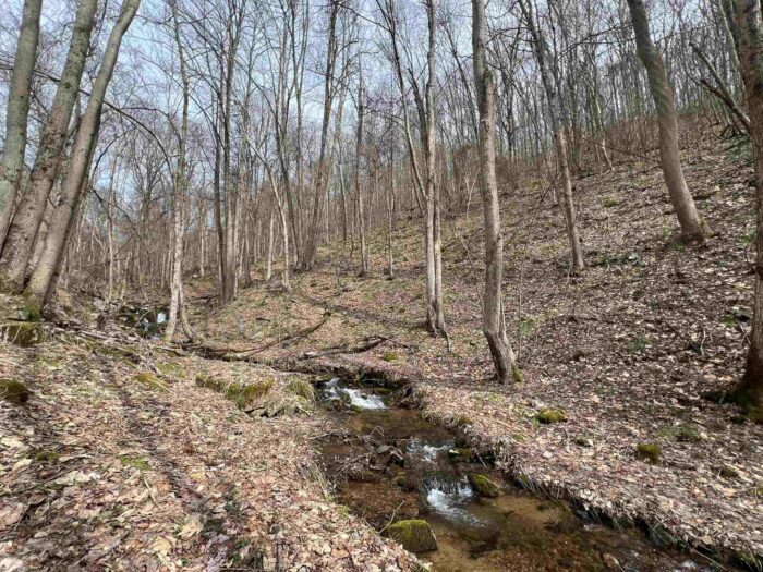 Western Pennsylvania Conservancy Protects Two More Properties to Expand Popular Outdoor Recreation Areas in Fayette County – Go Health Pro