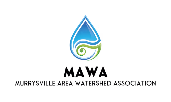 Murrysville Area Watershed Association